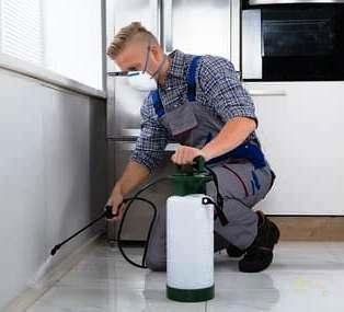 أفضل شركات مكافحة الحشرات في الشارقة