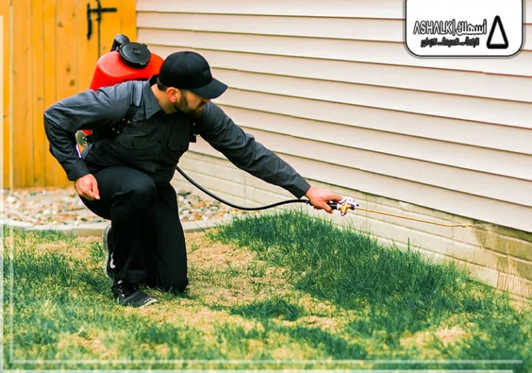 شركة رش مبيدات بالدمام