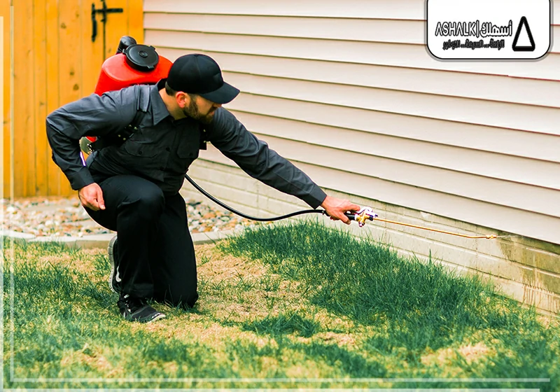 شركة رش مبيدات بالدمام