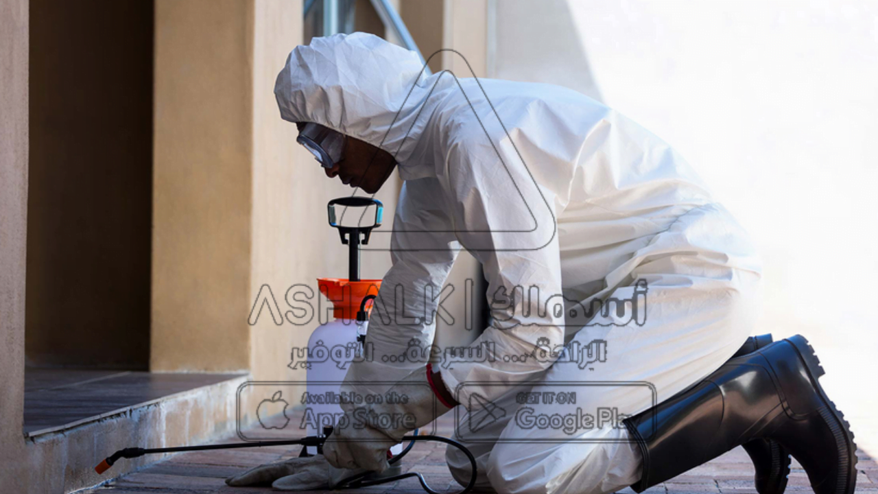 شركة رش مبيدات بالأحساء