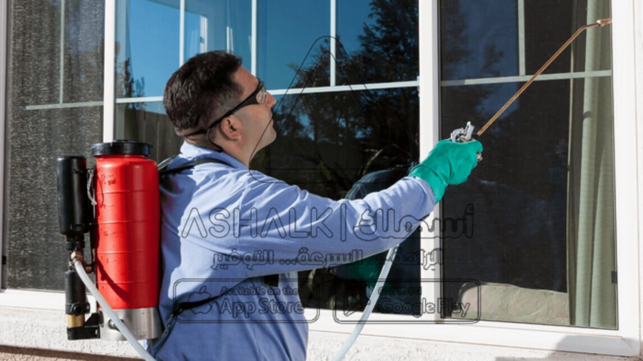 شركة مكافحة حشرات بالطائف