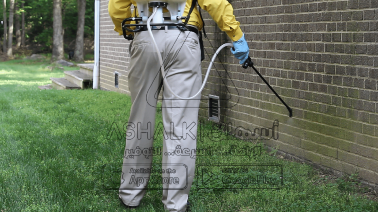 شركة مكافحة حشرات بالمجمعة