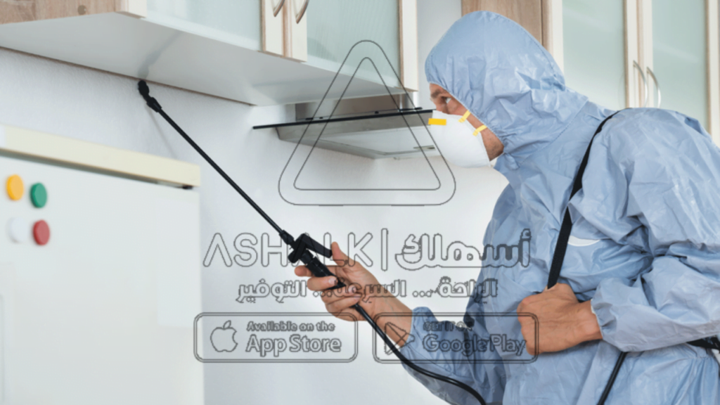 شركة مكافحة حشرات بالمجمعة