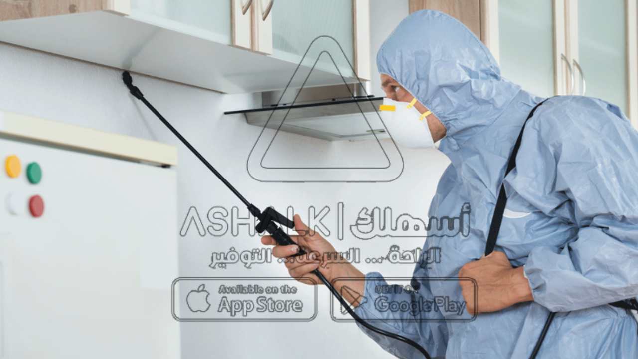 شركة مكافحة حشرات بالمجمعة