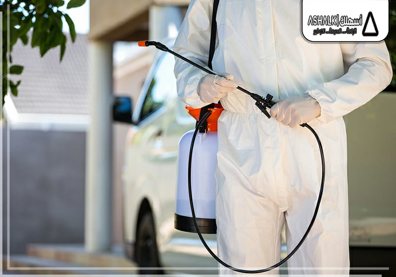 شركة مكافحة حشرات بمكة
