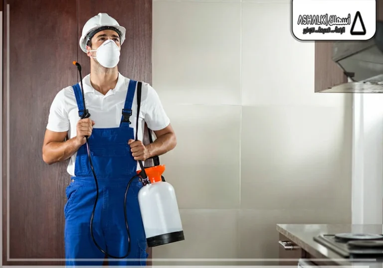 شركة مكافحة حشرات بجدة