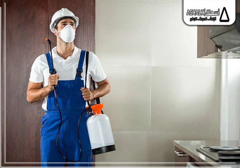 شركة مكافحة حشرات بجدة