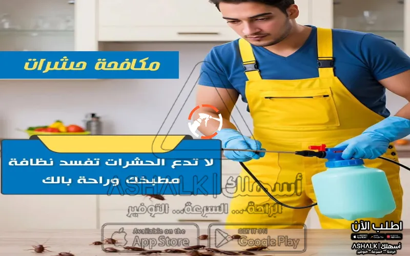 شركة رش مبيدات بالأحساء
