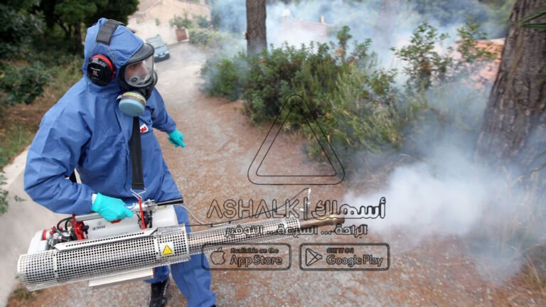 شركة رش دفان بالدلم